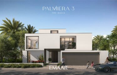 PALMIERA 3
