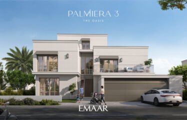 PALMIERA 3